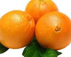 Naranja Navel - Satsuma S.A.C